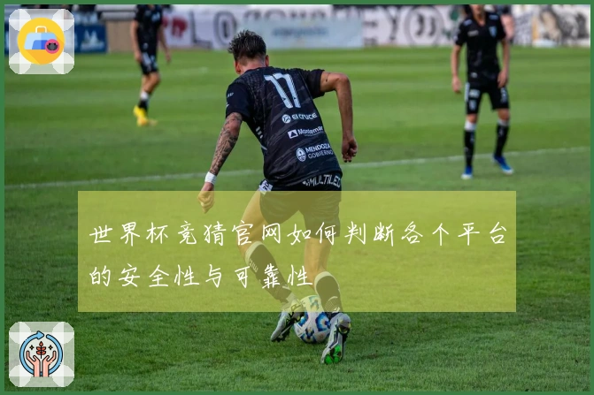 世界杯竞猜官网如何判断各个平台的安全性与可靠性
