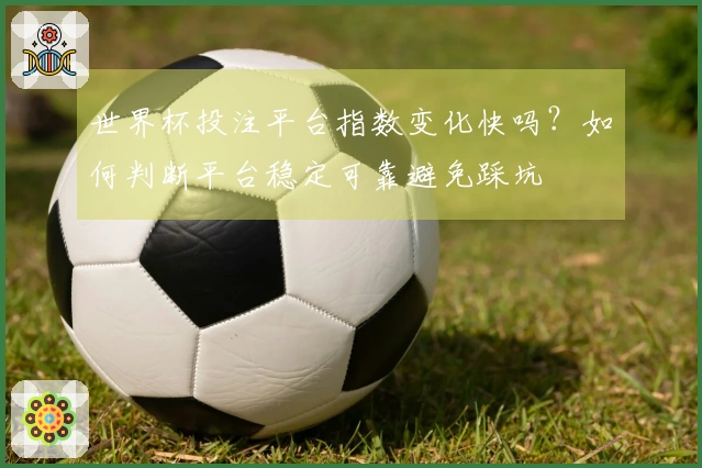 世界杯投注平台指数变化快吗？如何判断平台稳定可靠避免踩坑