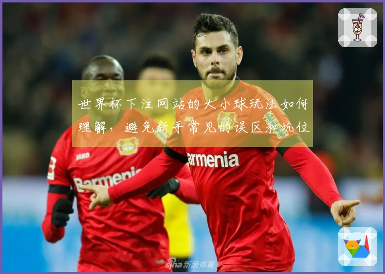 世界杯下注网站的大小球玩法如何理解，避免新手常见的误区和坑位？