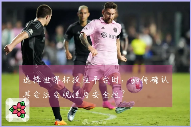 选择世界杯投注平台时,如何确认其合法合规性与安全性?
