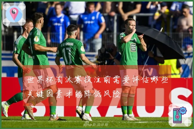 世界杯淘汰赛投注前需要评估哪些关键因素才能降低风险