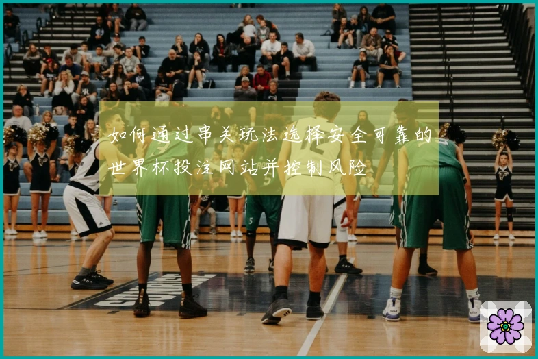 如何通过串关玩法选择安全可靠的世界杯投注网站并控制风险