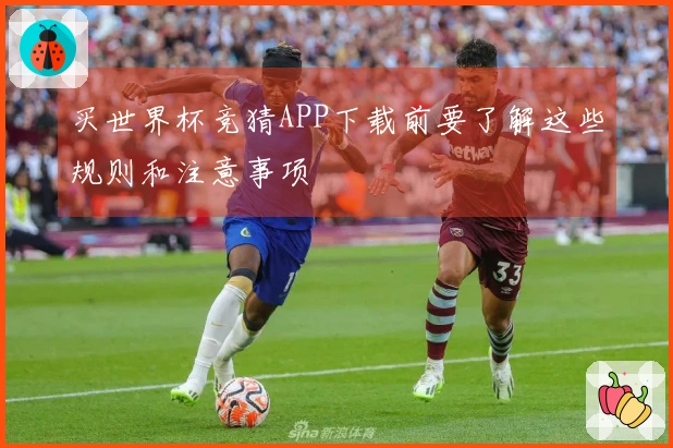 买世界杯竞猜APP下载前要了解这些规则和注意事项