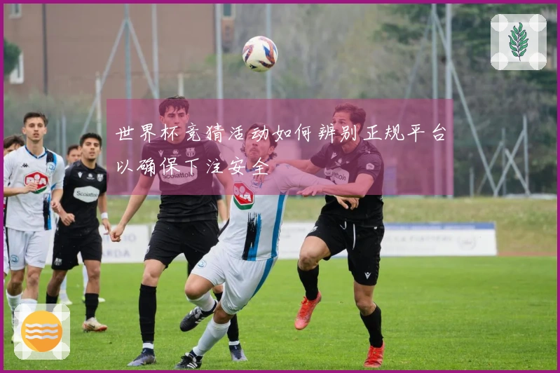 世界杯竞猜活动如何辨别正规平台以确保下注安全