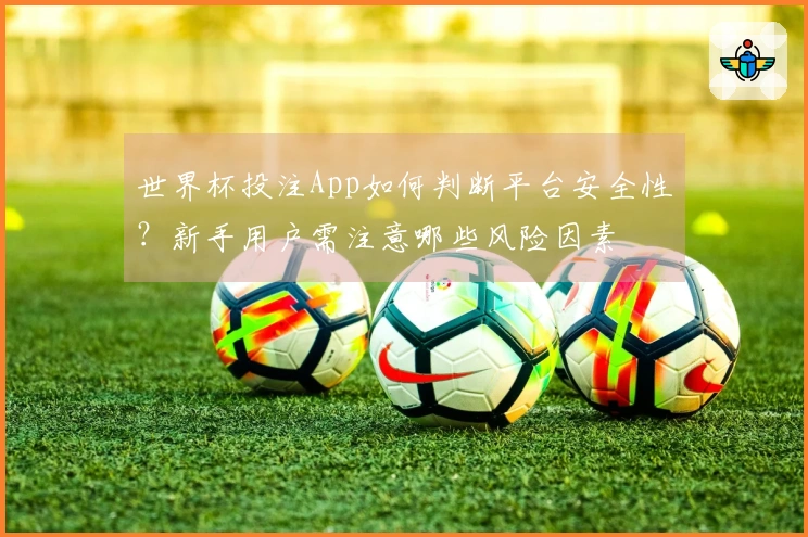 世界杯投注App如何判断平台安全性?新手用户需注意哪些风险因素