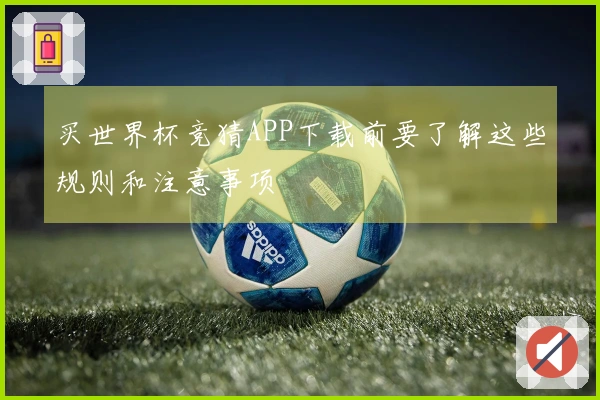 买世界杯竞猜APP下载前要了解这些规则和注意事项