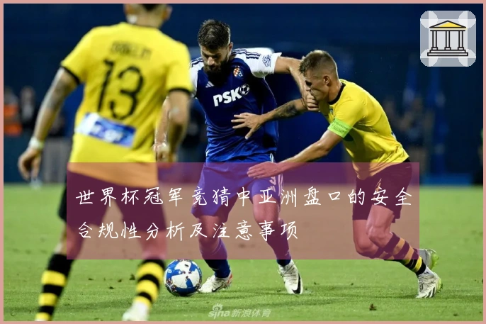 世界杯冠军竞猜中亚洲盘口的安全合规性分析及注意事项